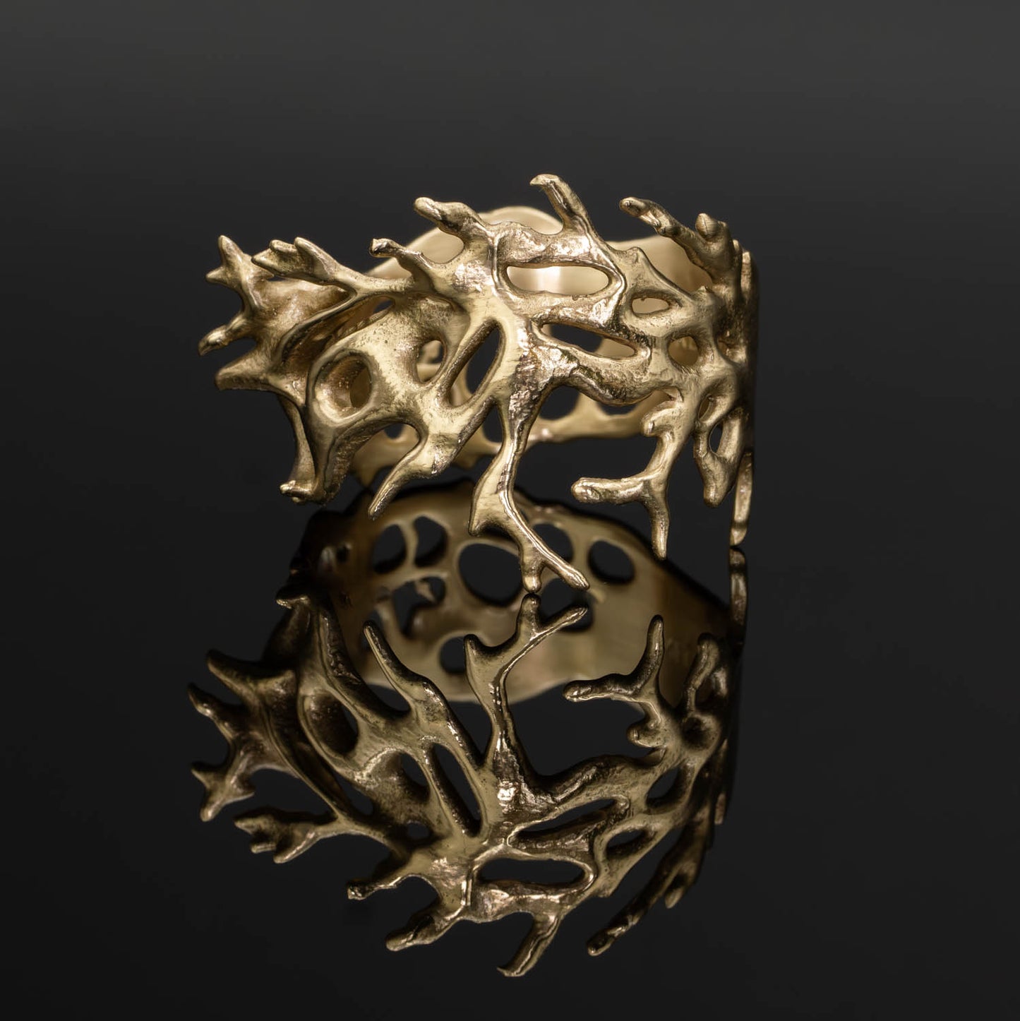 Staghorn
