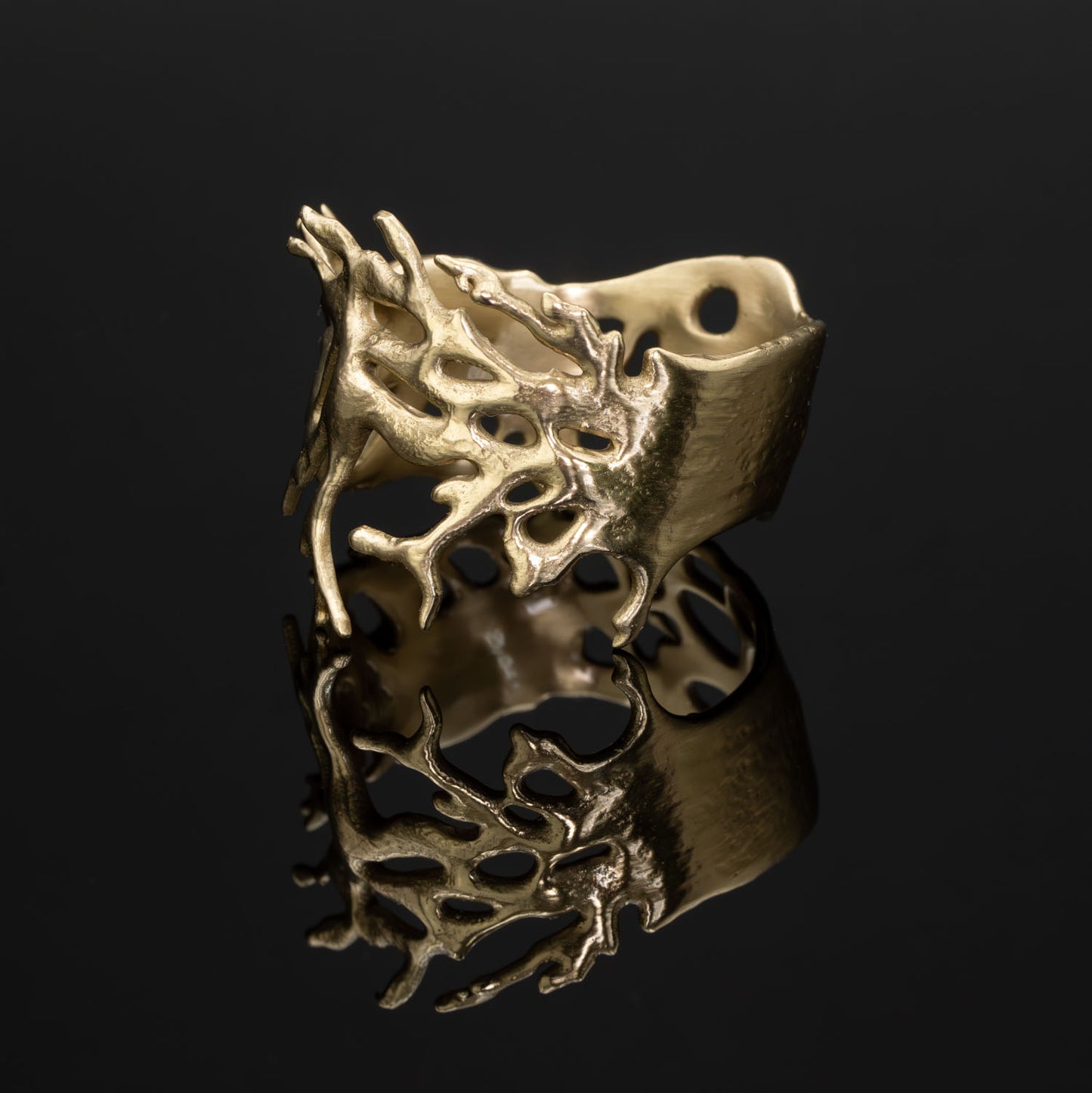 Staghorn