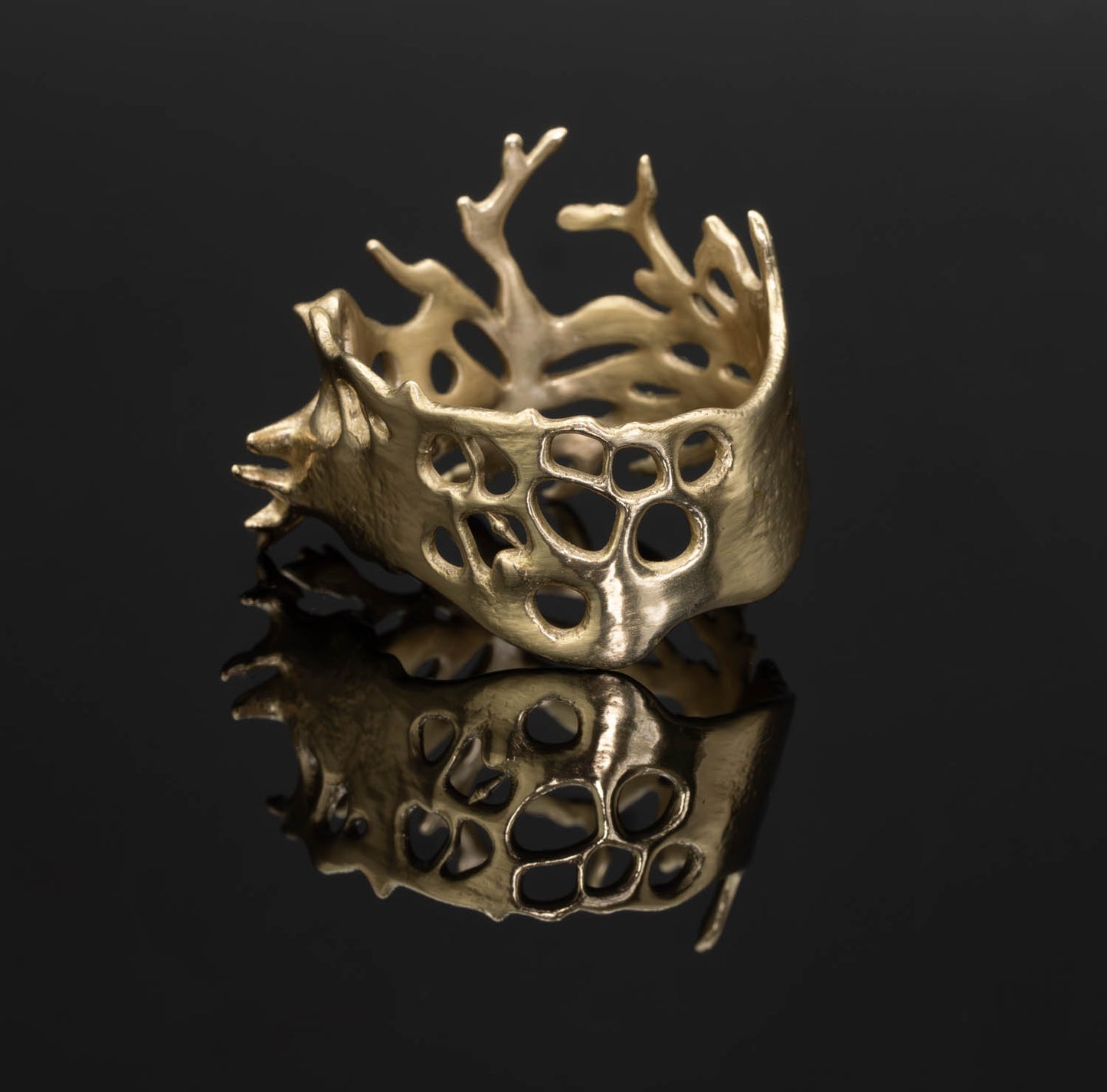 Staghorn