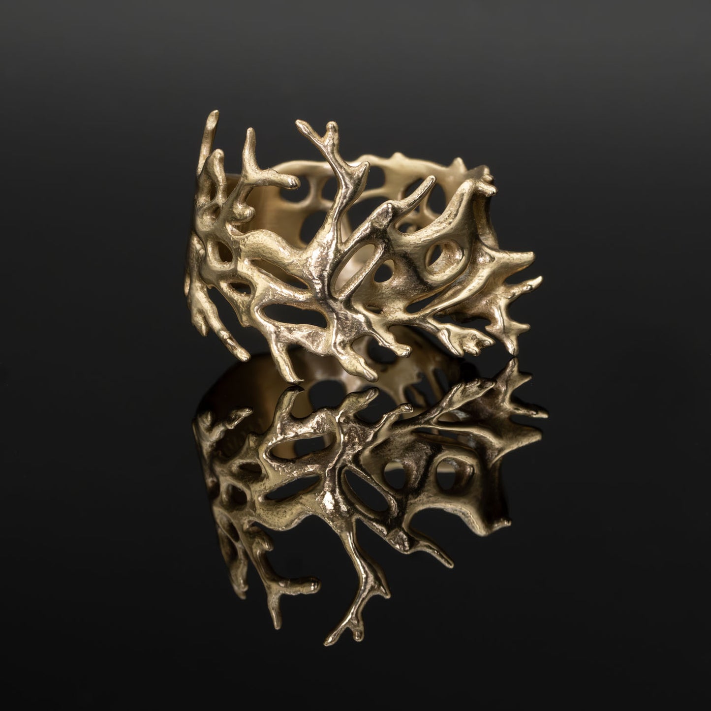 Staghorn